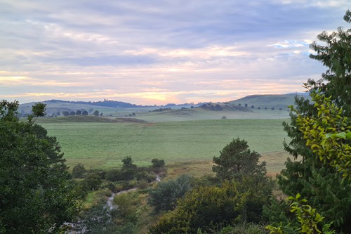 Feb 2026 - Otters Den (19)