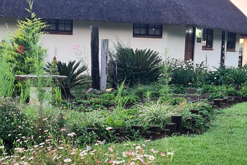 Feb 2026 - Otters Den (5)