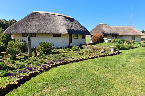 Feb 2026 - Otters Den (6)